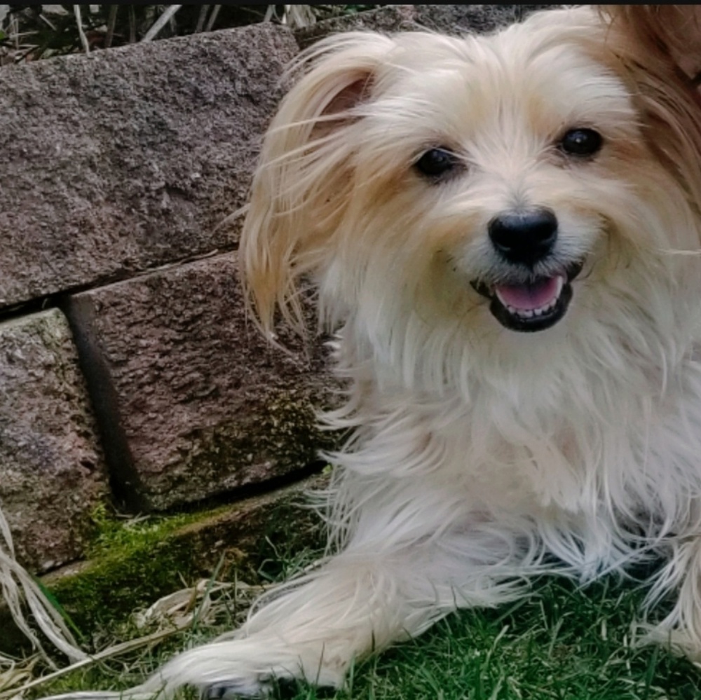 Meet your Posher, Molly